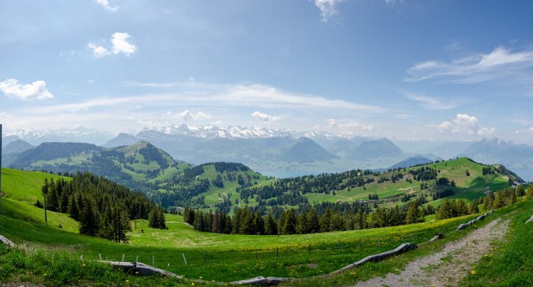 green trees on green grass field under white clouds and blue sky during daytime